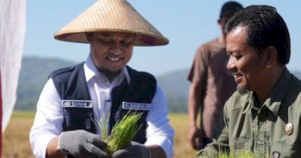 Danny Sebut Petani Menjerit, Justru Pertanian Sulsel Berjaya di Era Andi Sudirman Sulaiman