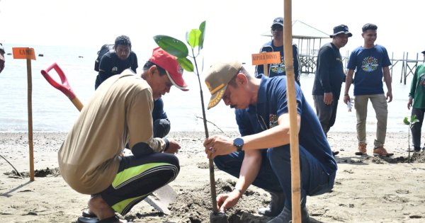 Pj Bupati Sinjai Pimpin Penanaman Mangrove di Pantai Hubat untuk Lindungi Pesisir