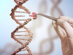 Disebut Solusi Menyembuhkan Penyakit, Dinkes Makassar Blak-Blakan Teknologi Crispr