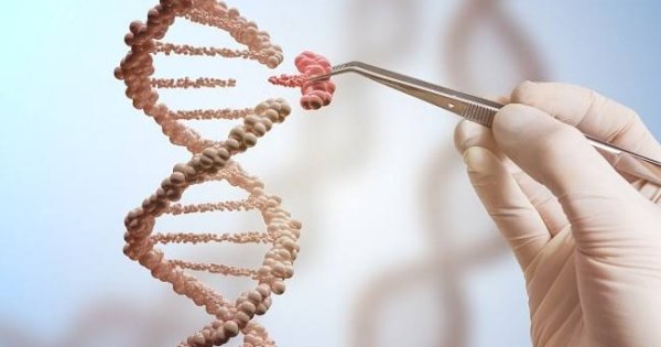 Disebut Solusi Menyembuhkan Penyakit, Dinkes Makassar Blak-Blakan Teknologi Crispr