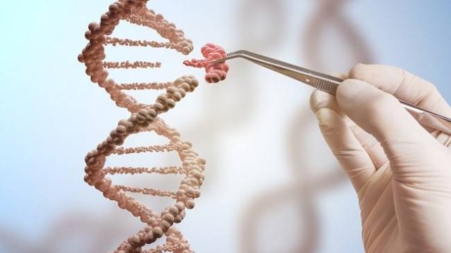 Disebut Solusi Menyembuhkan Penyakit, Dinkes Makassar Blak-Blakan Teknologi Crispr