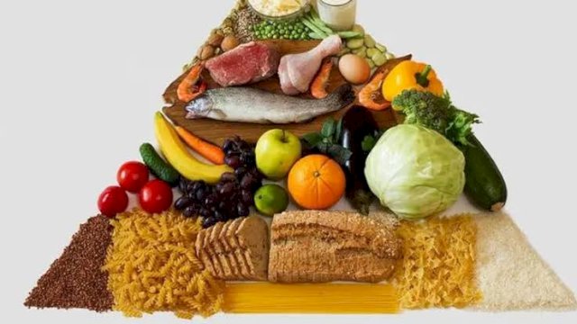 Kadinkes Makassar Bagi Tips Pola Makan untuk Kesehatan Jantung