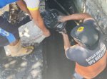 Satgas Drainase Dinas PU Makassar Lakukan Pengerukan Sedimen di Badak Tengah