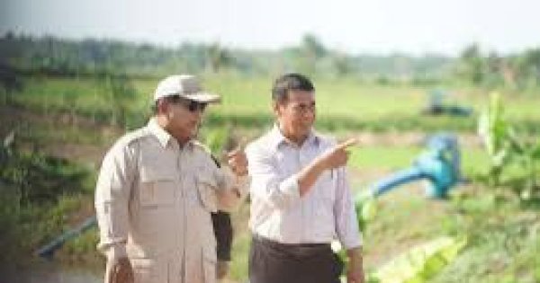 Presiden dan Mentan Turun ke Sawah di Marauke, Tinjau Program Swasembada Pangan