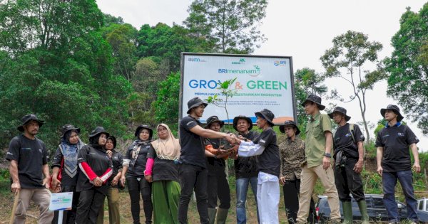 Pulihkan Hutan Bekas Tambang, Aksi Nyata Kelompok Tani Selamatkan Lingkungan Bersama BRI Menanam-Grow & Green