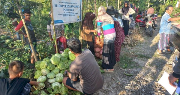 YBM PLN Menjejak Manfaat di 10 Desa Cahaya Sulselrabar