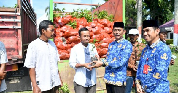 PJ Bupati Sinjai Salurkan Bibit Cengkeh ke 45 Kelompok Tani