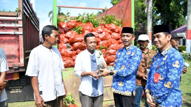 Pj Bupati Sinjai Jefrianto Asapa menyerahkan bantuan bibit cengkeh kepada perwakilan kelompok tani ||Ist 