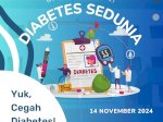 Dirut RSUD Daya Ajak Masyarakat Cek Gula Darah di Hari Diabetes Sedunia