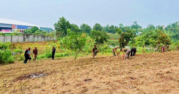 Brimob Polri Bersama Kementan Luncurkan Proyek Pertanian di Karawang, Ubah Lahan Tidur Jadi Produktif