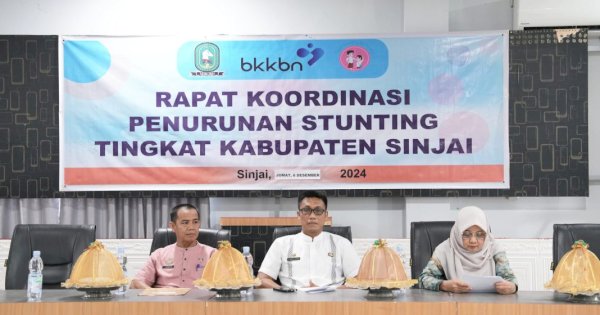 Asisten I Setdakab Sinjai Ajak Semua Pihak Bersinergi Percepat Penurunan Stunting