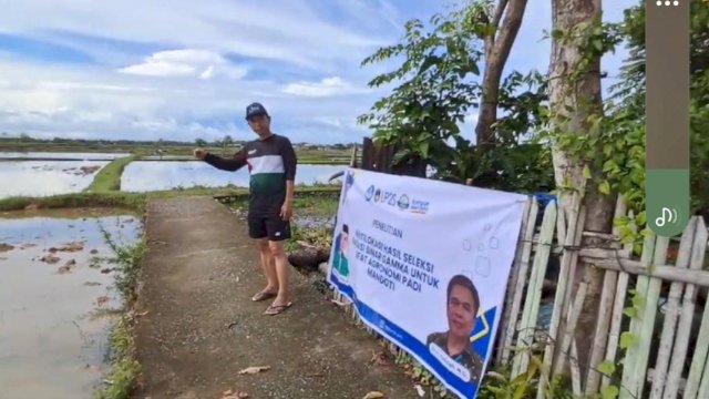 Dosen UMI Berdayakan Petani Enrekang dalam Melestarikan Varietas Lokal &#8220;Ase Mandoti&#8221;