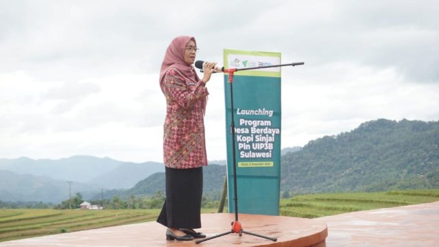 Staf Ahli Bupati Bidang Ekonomi, Keuangan dan Pembangunan, Andi Tenri Rawe Baso ||Ist 
