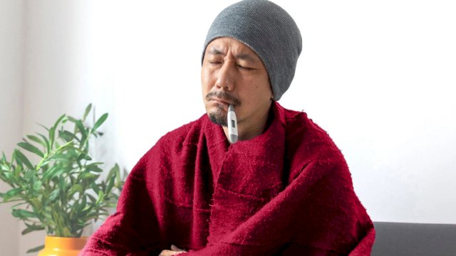 Foto: Ilustrasi Halodoc