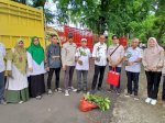 Petani di Sinjai Kembali Dapat Bantuan Bibit Pala