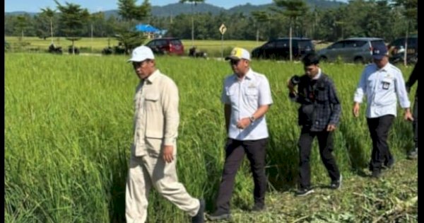 Mentan Amran Telusuri Jaringan Irigasi di Konawe Demi Swasembada