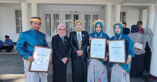 Tenaga Kesehatan Sinjai Menjadi Juara di Peringatan HKN ke-60