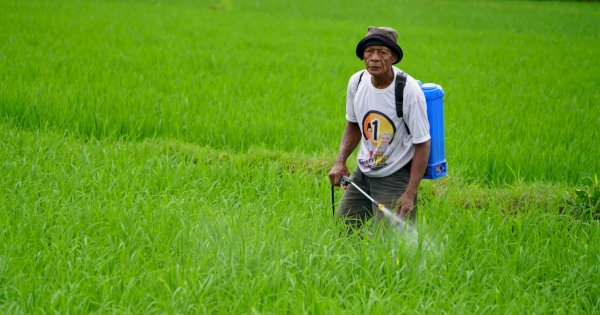 Ketika Listrik Wujudkan Impian Para Petani di Ladang Kampili