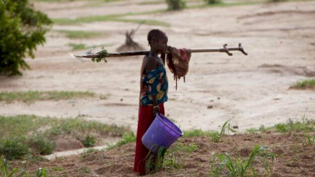 Ilusrasi perempuan akar rumput. (Foto: green info)