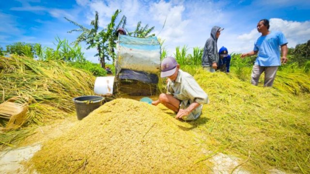 Pemerintah optimis capai target swasembada pangan. Harga Pembelian Pemerintah (HPP) gabah naik jadi Rp6.500/Kg, ||doc_humasditjentanamanpangan
