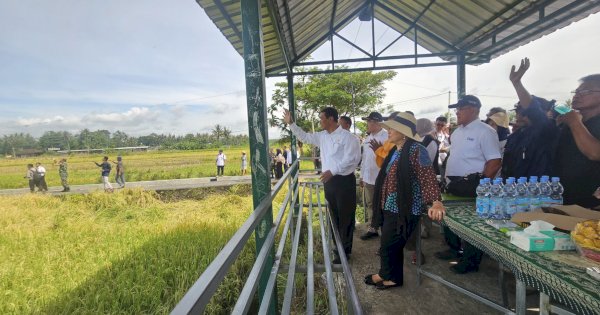 Ketua Komisi IV: Harga Gabah Anjlok di Jogja, Titiek Soeharto Semprot Bulog Harga Rp5500