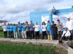 Program Listrik PLN Masuk Sawah Buat Petani Sulsel Untung