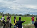 Anggota Dewan Tinjau Dampak Banjir di Wajo, Petani Harap Solusi Konkret