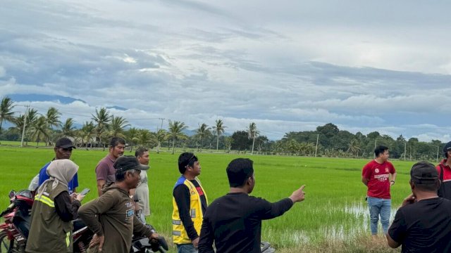 Anggota Dewan Tinjau Dampak Banjir di Wajo, Petani Harap Solusi Konkret