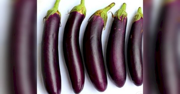 Fenomena “Terong Bu Lurah”, Apa yang Sebenarnya Terjadi?