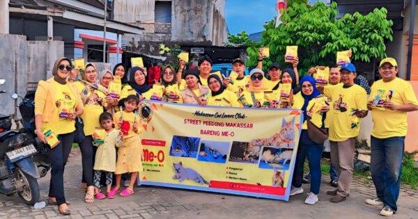 MCLC Peduli Kucing Jalanan Makassar dengan Street Feeding