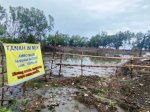 Hutan Mangrove di Maros Ditebang, Diduga Ada Mafia Tanah di Baliknya