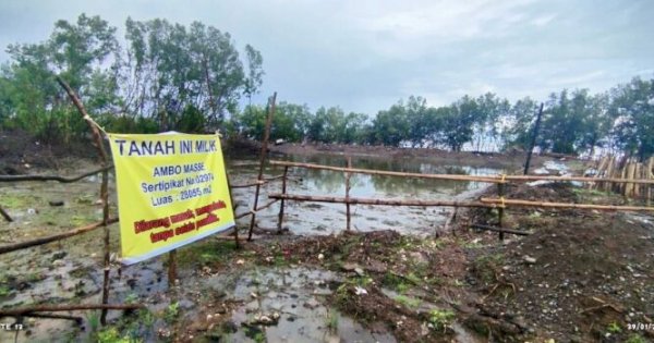 Hutan Mangrove di Maros Ditebang, Diduga Ada Mafia Tanah di Baliknya