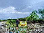 Kerusakan Hutan Mangrove di Maros, SHM Diterbitkan, Mafia Tanah Diduga Terlibat