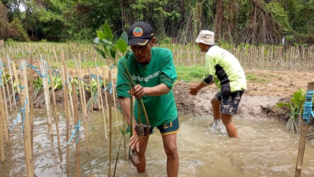 Dampak Nyata LindungiHutan Tanam 978.000 Pohon di Indonesia
