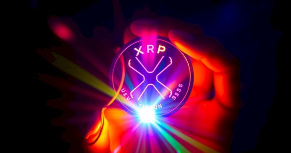 Siapa Holder XRP Terbanyak? Distribusi Ripple (XRP) yang Perlu Kamu Ketahui
