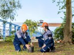 Pembangunan Berkelanjutan, WSBP Tanam 643 Pohon Trembesi di Januari 2025 untuk 6.341 Spun Pile Terkirim Selama Desember 2024