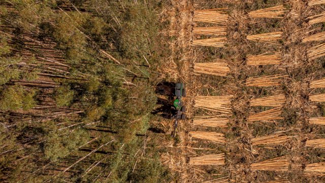 Koltiva Dorong Dialog Multi-Pemangku Kepentingan tentang Regulasi Anti Deforestasi Uni Eropa dan Kepatuhan untuk Keberlanjutan Industri