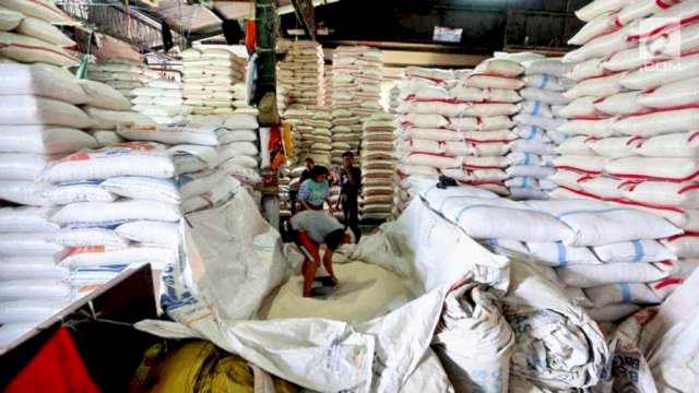 Bulog optimalkan penyerapan gabah petani lokal jelang Panen Raya 2025 ||Ist 