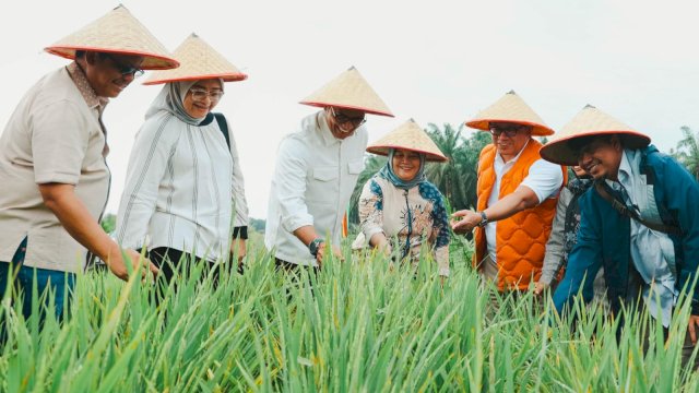 Deputi Bidang Koordinasi Keterjangkauan dan Keamanan Pangan Dr. Ir. Nani Hendiarti, M.Sc saat meninjau pilot project program Tanam Padi Perkebunan Nusantara (Tampan) di areal seluas 20 hektare di Kabupaten Siak, Riau. Tampan merupakan program yang diusung PTPN dalam mendukung swasembada pangan melalui pola intercropping atau tumpang sari tanaman padi Gogo pada areal peremajaan sawit rakyat (PSR).