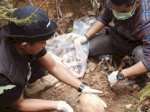 Polisi Selidiki Penemuan Tengkorak di Palopo, Warga Diminta Laporkan Keluarga Hilang