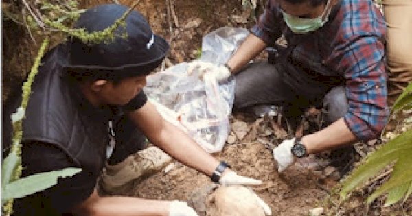 Polisi Selidiki Penemuan Tengkorak di Palopo, Warga Diminta Laporkan Keluarga Hilang