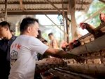 Tinjau Peternakan Ayam, Syahar Targetkan 10 Juta Ekor dalam Lima Tahun