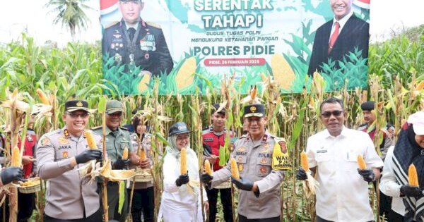 Dukung Swasembada Pangan, Polda Aceh Panen Raya Jagung di Pidie