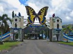 Mungunjungi 255 Jenis Kupu-kupu di Kawasan Wisata Bantimurung