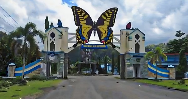 Mungunjungi 255 Jenis Kupu-kupu di Kawasan Wisata Bantimurung