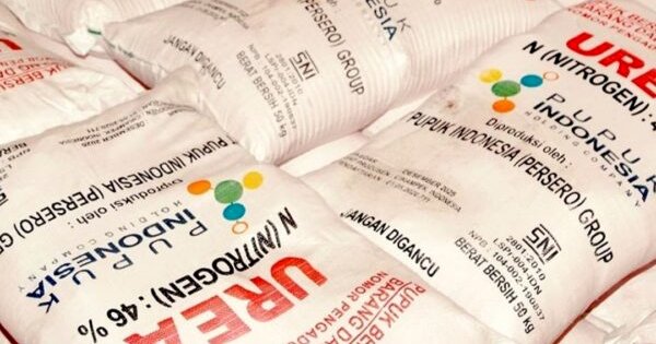 Amrina Rahman Divonis Bebas dalam Kasus Dugaan Korupsi Pupuk Bersubsidi