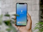 Bittime Luncurkan Program Staking Palapa dan Kampanye Airdrop 250 Juta Token Pepe