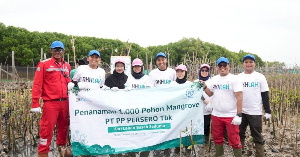 PTPP Hijaukan Pesisir Tambakrejo dengan 1.000 Mangrove, Lindungi  Masyarakat dari Abrasi dan Perubahan Iklim