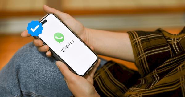 Kenapa Bisnis Perlu Menggunakan WhatsApp Business API?