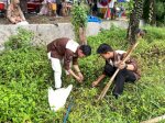 Bikin Sejuk! Komunitas Padupa Turatea Tanam Pohon Tabebuya